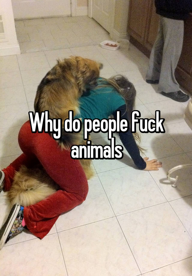 Animals Fuck People